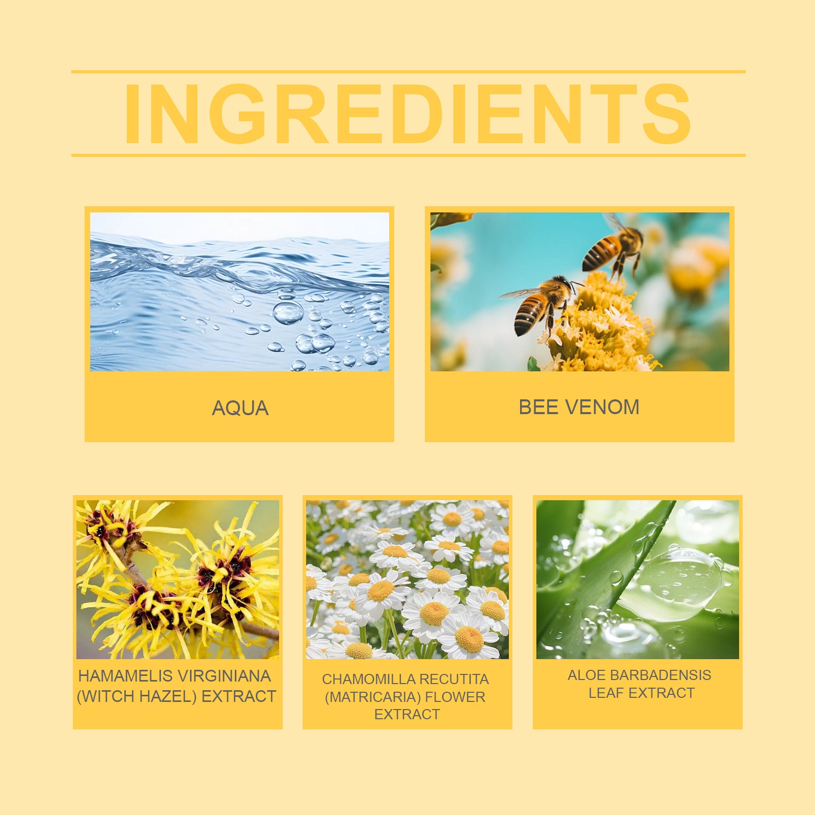 Ximonth Bee Venom Care Cream, Bee Venom Care Cream To Relieve Inflammation, Pain Swelling Can Improve Joint Health Bunions Adjuvant Therapy