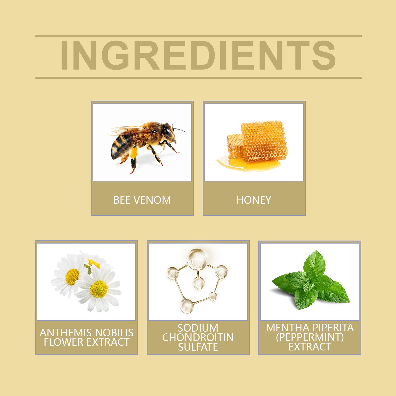 Ximonth Bee Venom Treatment Cream Is Effective For Relieving Aching Joints And Bones